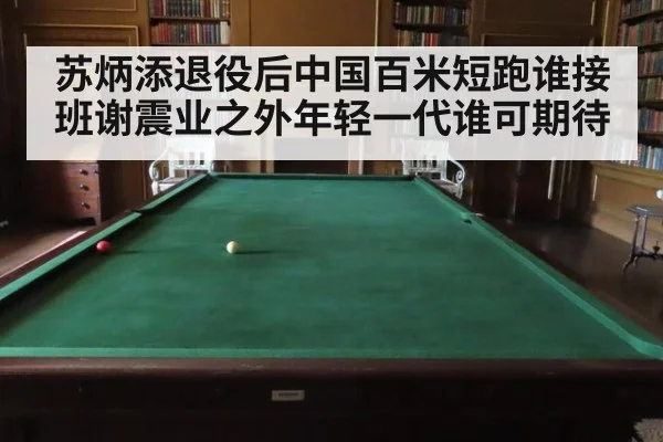 苏炳添退役后中国百米短跑谁接班谢震业之外年轻一代谁可期待