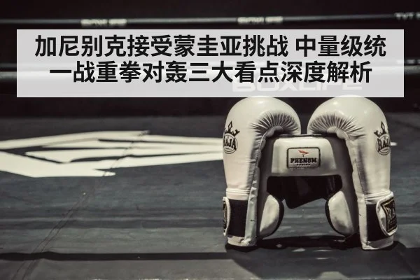 加尼别克接受蒙圭亚挑战 中量级统一战重拳对轰三大看点深度解析